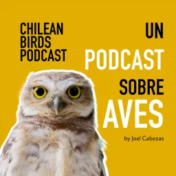 Chilean Birds Podcast