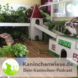 Kaninchenwiese.de Dein Kaninchen-Podcast artwork
