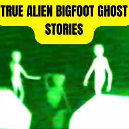 TRUE UFO, Bigfoot and Ghost Stories Podcast artwork