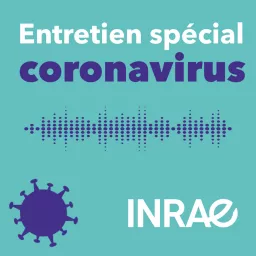 Entretien spécial coronavirus | INRAE Podcast artwork