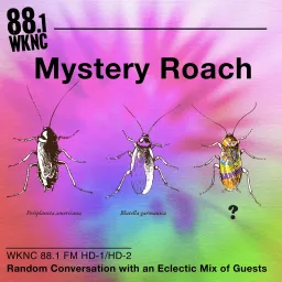 Mystery Roach Podcast artwork