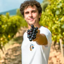 Italian Wines Podcast artwork