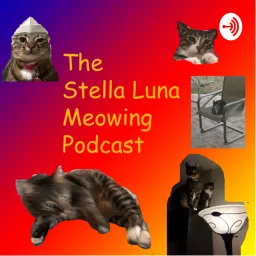 The Stella Luna Meowing Podcast