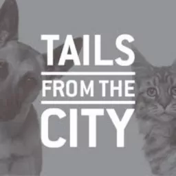 TAILS from the CITY Podcast artwork
