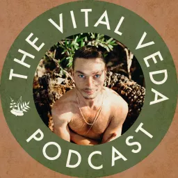 The Vital Veda Podcast: Ayurveda | Holistic Health | Cosmic and Natural Law artwork