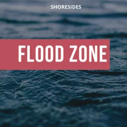 Flood Zone Podcast artwork