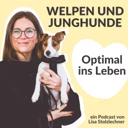 Optimal ins Leben! Welpen und Junghunde