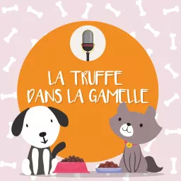 La Truffe dans la Gamelle Podcast artwork