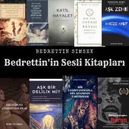 Bedrettin'in Sesli Kitapları