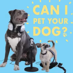 Can I Pet Your Dog? Podcast artwork