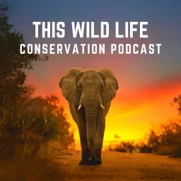 This Wild Life Conservation Podcast artwork