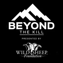 Beyond the Kill Podcast artwork