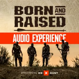 The Born And Raised Audio Experience Podcast artwork