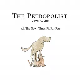 Petropolist Podcast artwork