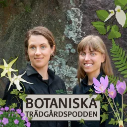 Botaniska trädgårdspodden