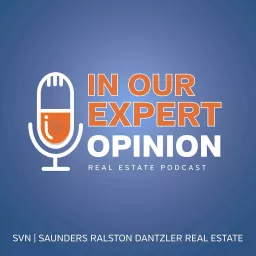 In Our Expert Opinion Podcast artwork