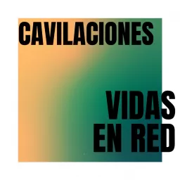 Cavilaciones de Vidas en Red