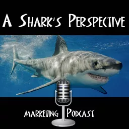 A Shark's Perspective Podcast artwork