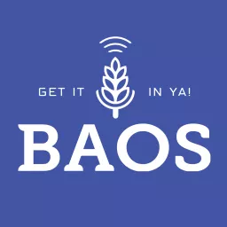 BAOS: Beer & Other Shhh Podcast