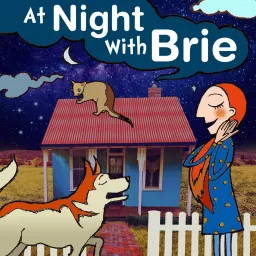 At Night With Brie: A bedtime podcast for kids and parents artwork