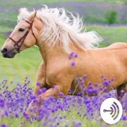 Why do horses stand sleeping? Podcast artwork
