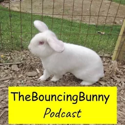 The Bouncing Bunny