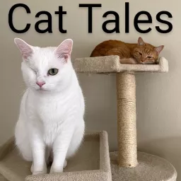 Cat Tales Podcast artwork