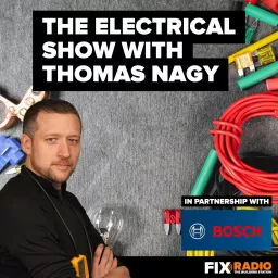 The Electrical Show