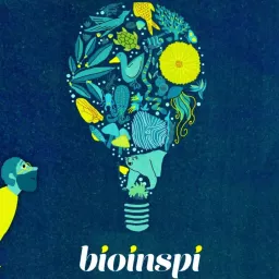 Bioinspi Podcast artwork