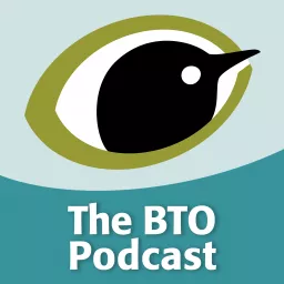 The BTO Podcast artwork