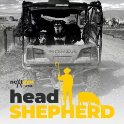 Head Shepherd Podcast artwork
