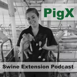 PigX Podcast artwork
