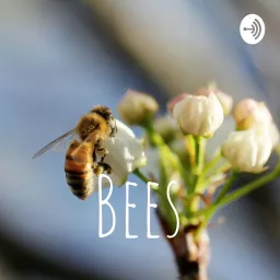 Bees Podcast artwork
