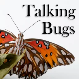 Talking Bugs Podcast artwork