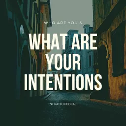 Who Are You & What Are Your Intentions Podcast artwork