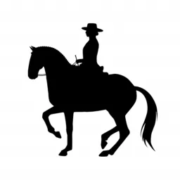 Klaudia Duif • Horsemanship und Reitkunst Podcast artwork