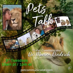 Pets Talk: with Pet Communicator Dr. Monica Diedrich Podcast artwork