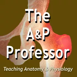 The A&P Professor Podcast artwork