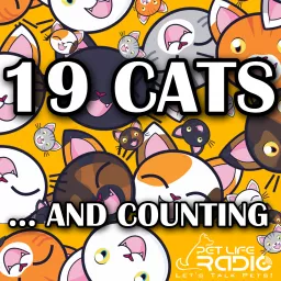 19 Cats and Counting on Pet Life Radio (PetLifeRadio.com)