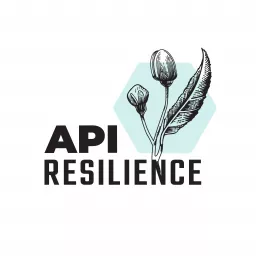 A(P)I Resilience