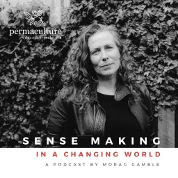 Sense-Making in a Changing World Podcast artwork