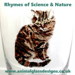 Rhymes of Science and Nature Podcast artwork