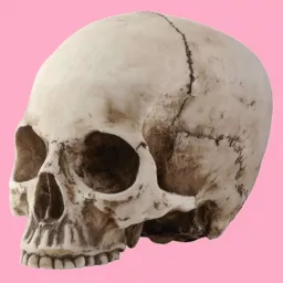 Esqueletos no Armário Podcast artwork