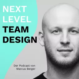 Next Level Team Design Podcast artwork