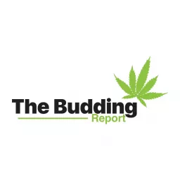 The Budding Report Podcast artwork