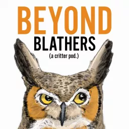 Beyond Blathers Podcast artwork