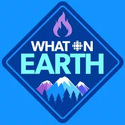 What On Earth Podcast artwork
