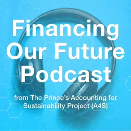 The Financing Our Future Podcast artwork