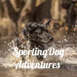 SportingDog Adventures PodCast artwork