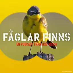 Fåglar finns Podcast artwork